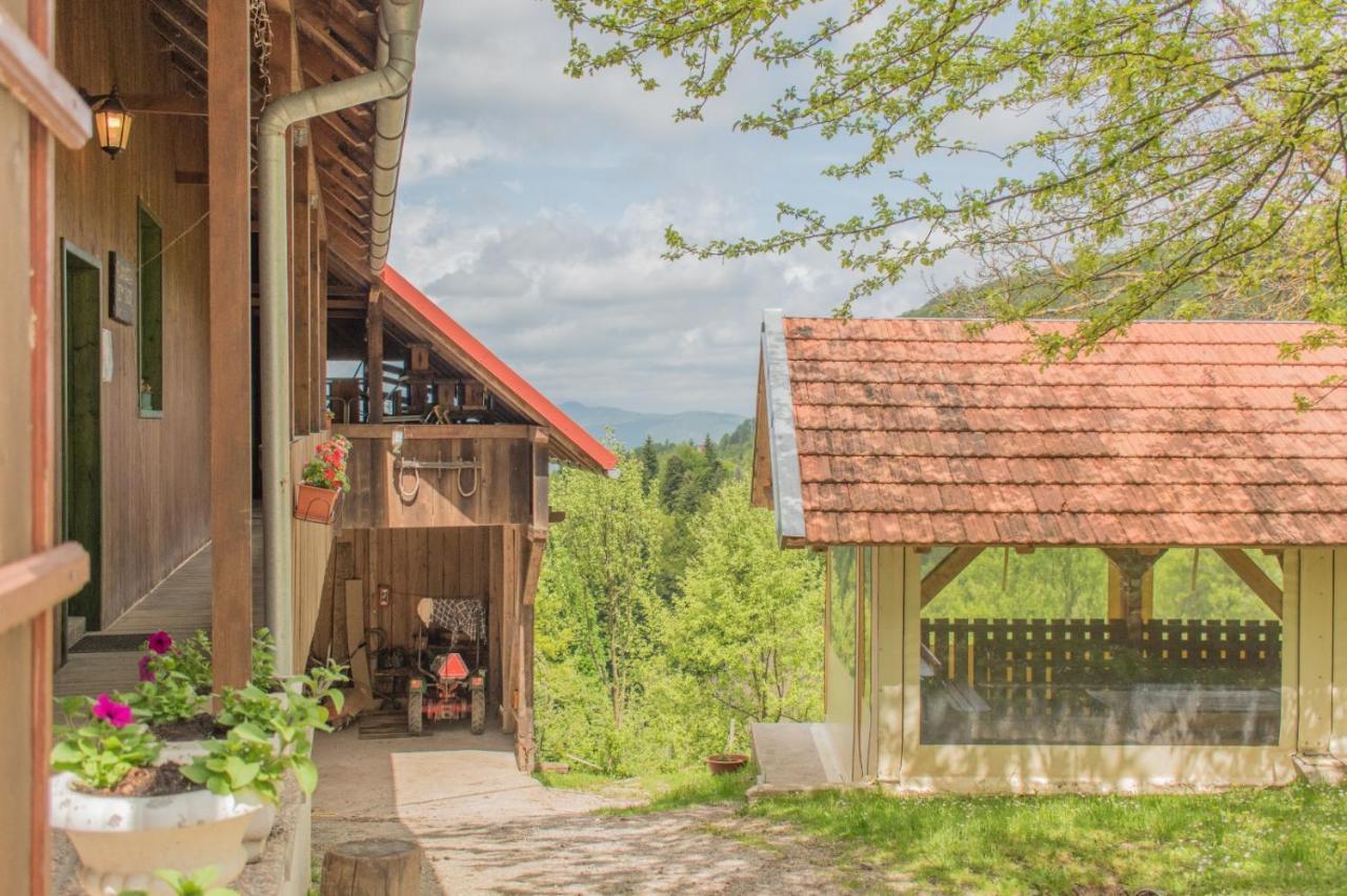 Planinarski Dom Skrad